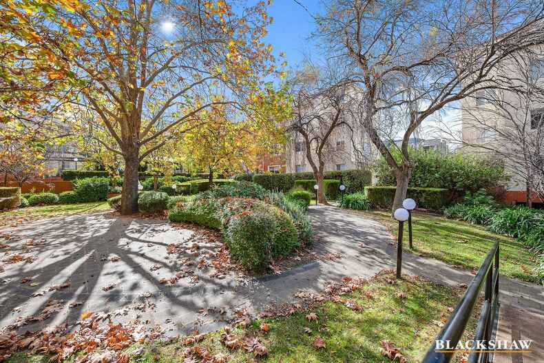 43/7 Empire Circuit Forrest 43/7 Empire Circuit Forrest