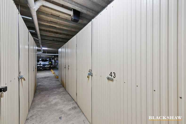 43/7 Empire Circuit Forrest 43/7 Empire Circuit Forrest