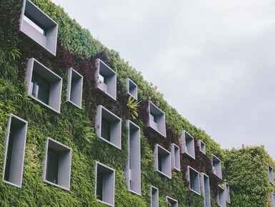 An essential guide to a carbon-conscious rental property An essential guide to a carbon-conscious rental property