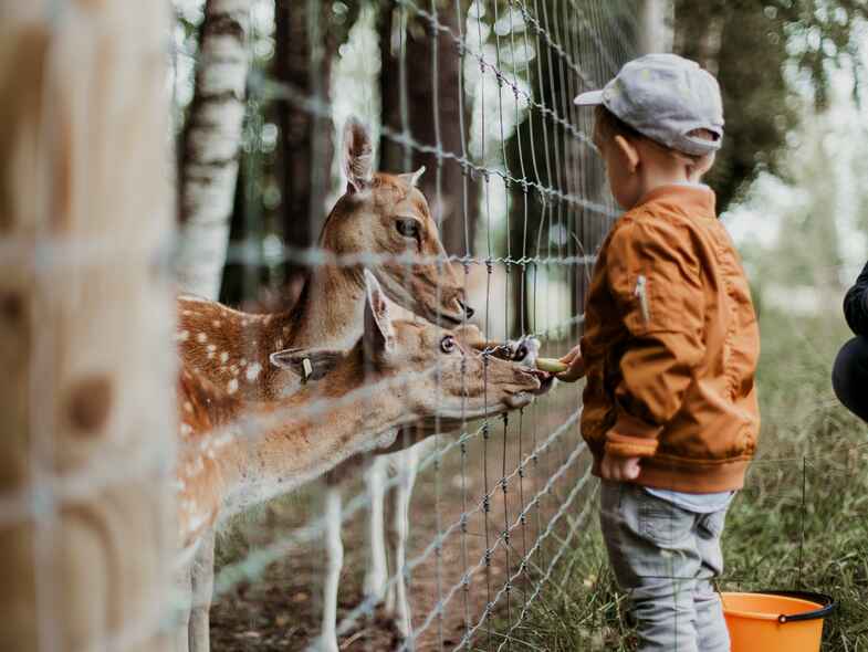 Local Loves: Canberra’s National Zoo and Aquarium Local Loves: Canberra’s National Zoo and Aquarium