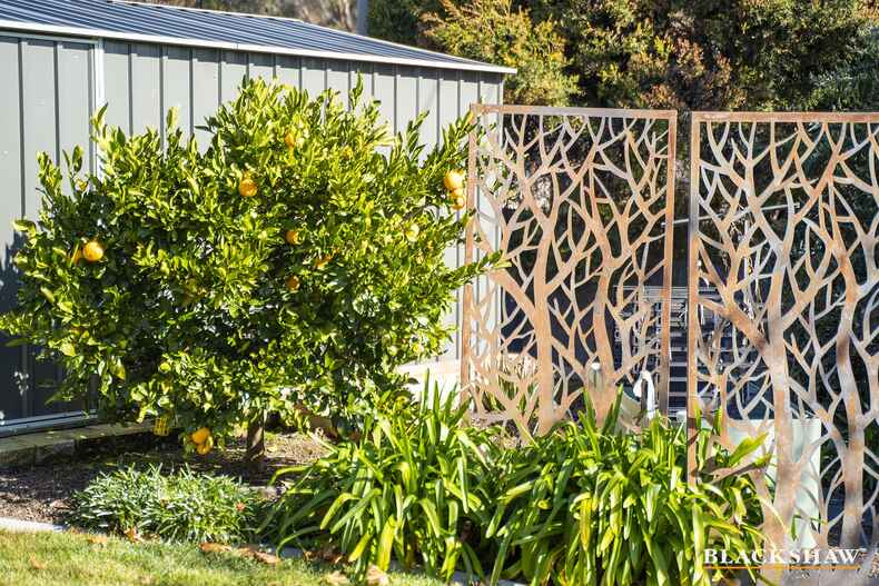 76 Chippindall Circuit Theodore 76 Chippindall Circuit Theodore