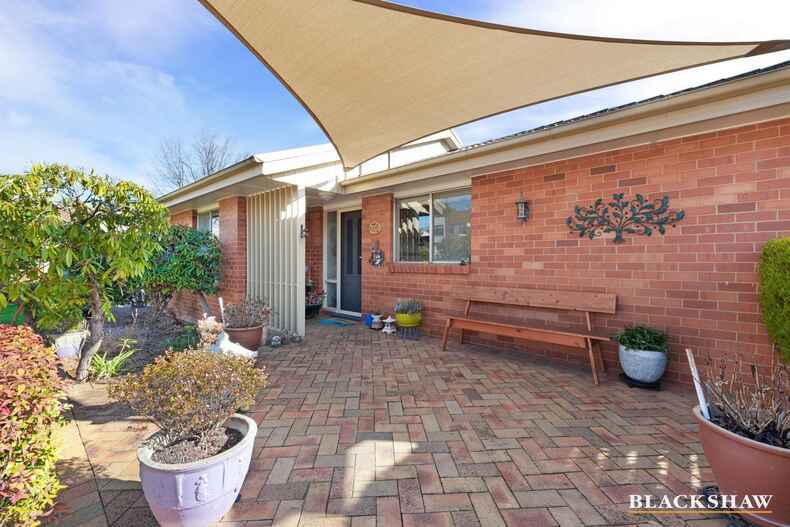 20 Hurley Street Mawson 20 Hurley Street Mawson