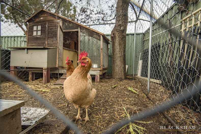 10 Haugh Place Oxley 10 Haugh Place Oxley