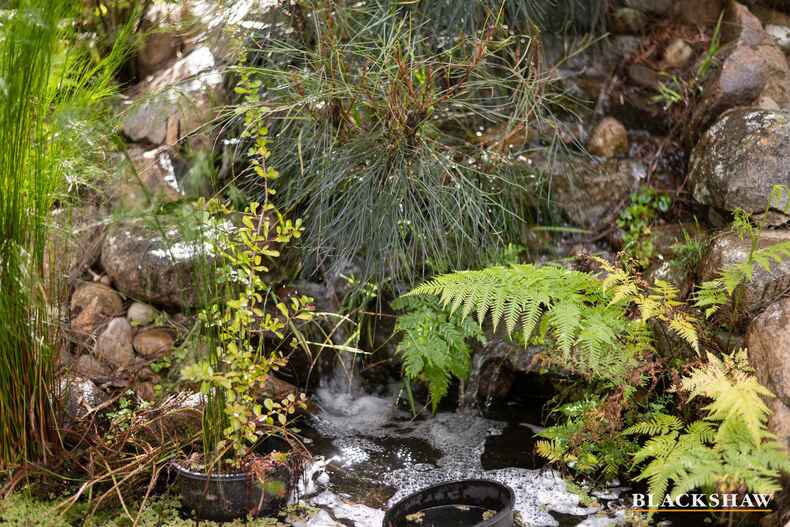 6 Cuthbertson Crescent Oxley 6 Cuthbertson Crescent Oxley