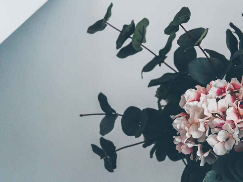 In bloom: Your guide to sustainable flowers this spring In bloom: Your guide to sustainable flowers this spring