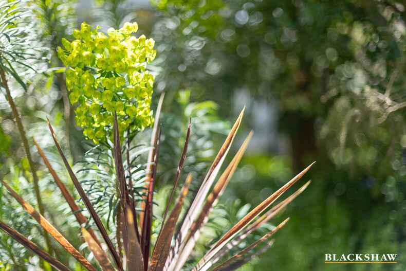 5 Madigan Street Hackett 5 Madigan Street Hackett