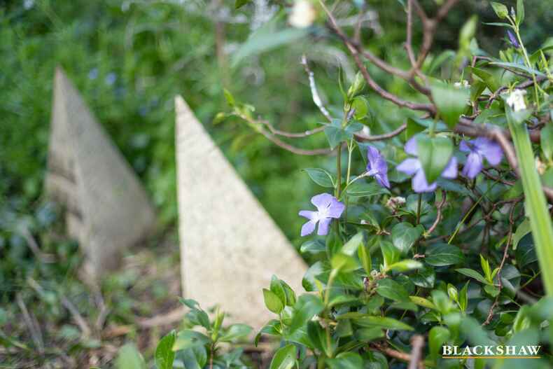 5 Madigan Street Hackett 5 Madigan Street Hackett