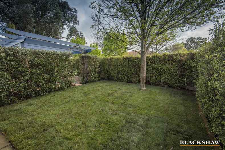 31 Ayrton Street Gungahlin