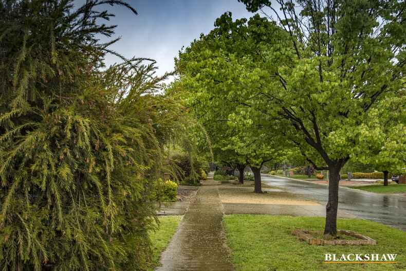 41 Flos Greig Street Watson 41 Flos Greig Street Watson