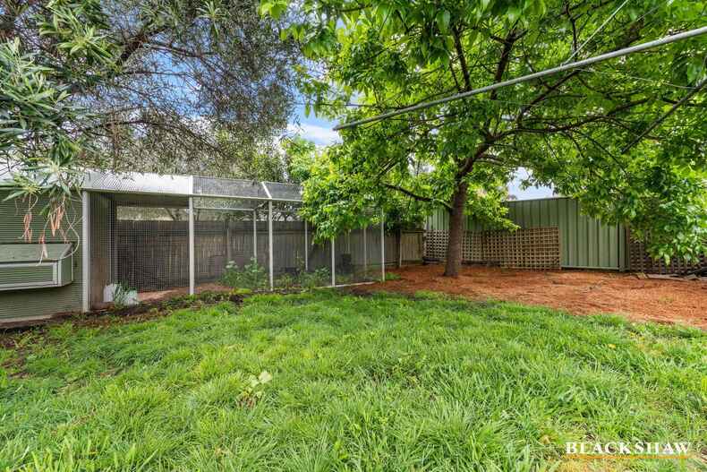 45 McCawley Street Watson 45 McCawley Street Watson