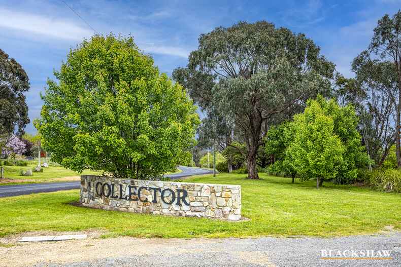 47 Goulburn Street Collector 47 Goulburn Street Collector