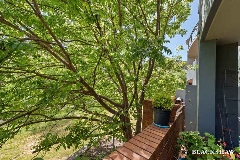 22/2 Hopegood Place Garran 22/2 Hopegood Place Garran