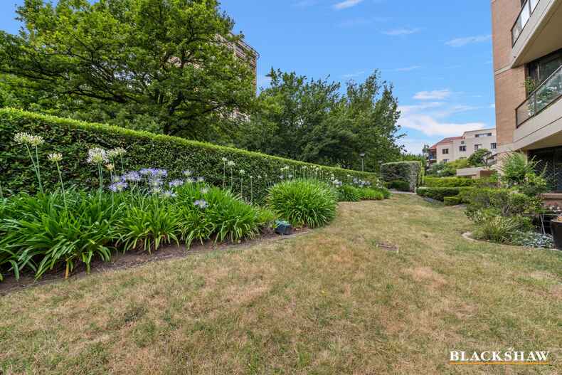 3/4 Jardine Street Kingston