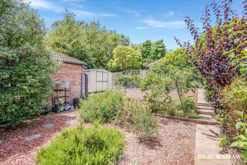 8 Le Souef Crescent Florey 8 Le Souef Crescent Florey