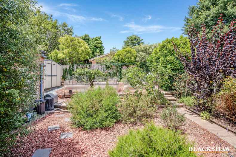 8 Le Souef Crescent Florey 8 Le Souef Crescent Florey