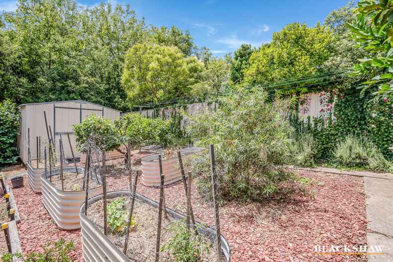 8 Le Souef Crescent Florey 8 Le Souef Crescent Florey