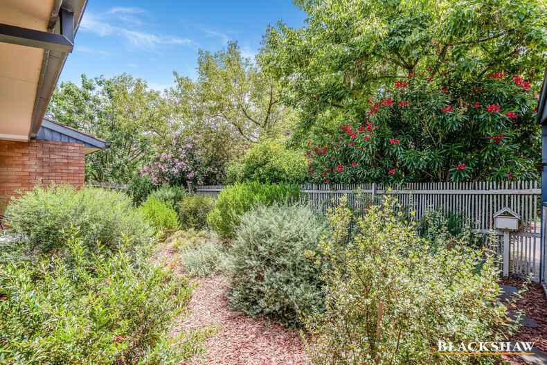 8 Le Souef Crescent Florey 8 Le Souef Crescent Florey