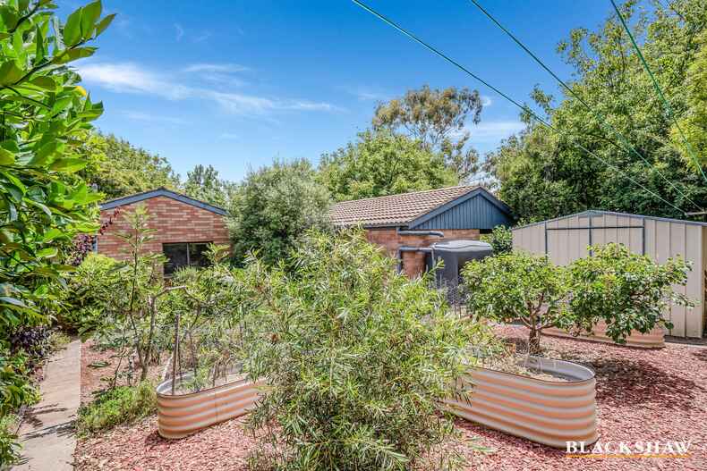 8 Le Souef Crescent Florey 8 Le Souef Crescent Florey