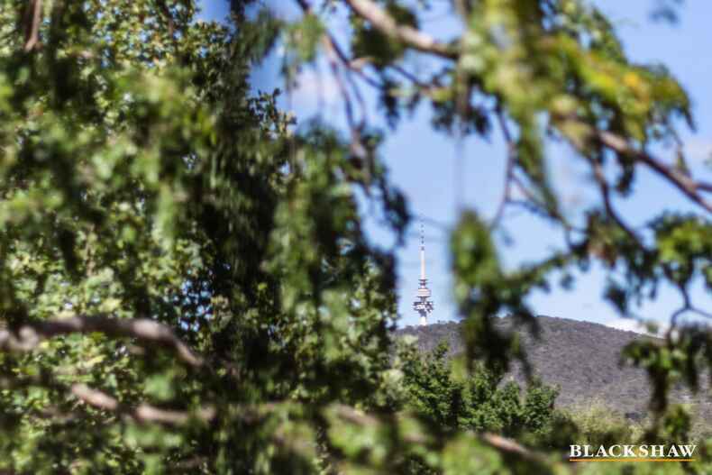 35/19 Condamine Street Turner 35/19 Condamine Street Turner