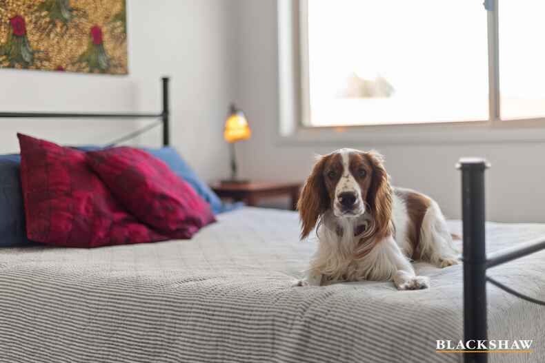 16/34 Leahy Close Narrabundah 16/34 Leahy Close Narrabundah