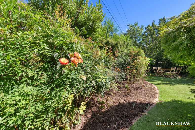 8 Nimbin Street Narrabundah 8 Nimbin Street Narrabundah