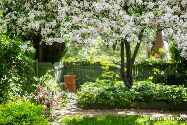 18 Hann Street Griffith