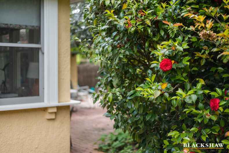 18 Hann Street Griffith