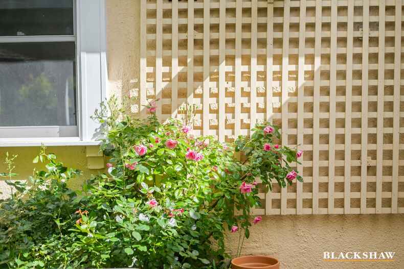 18 Hann Street Griffith