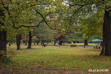 71/10  Ipima Street Braddon