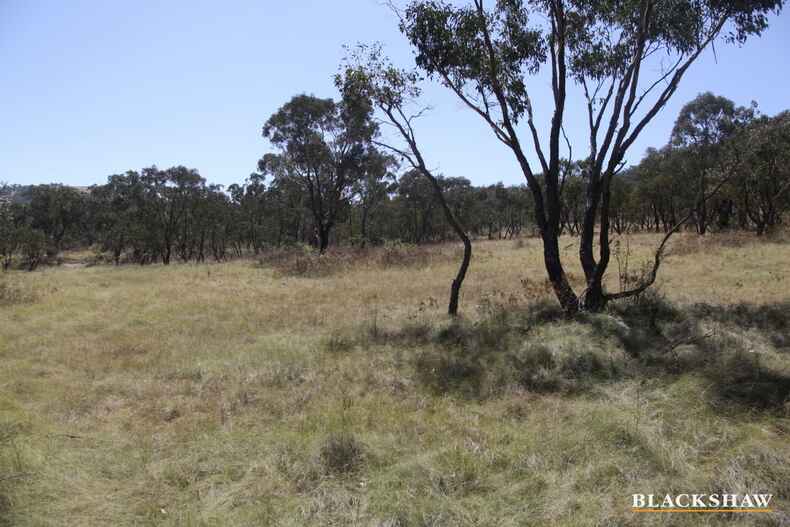 Lot 159 Monaro Highway Michelago Lot 159 Monaro Highway Michelago