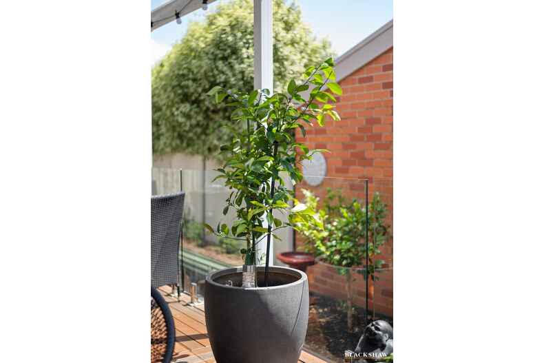 30a Maclaurin Crescent Chifley 30a Maclaurin Crescent Chifley