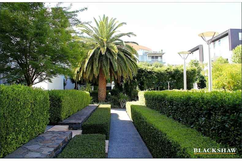 6/110 Giles Street Kingston 6/110 Giles Street Kingston