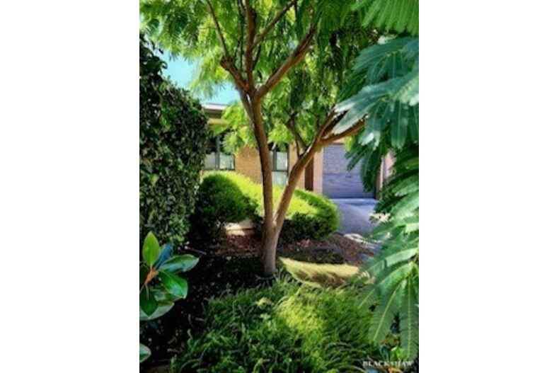 29 Rowland Street Macgregor