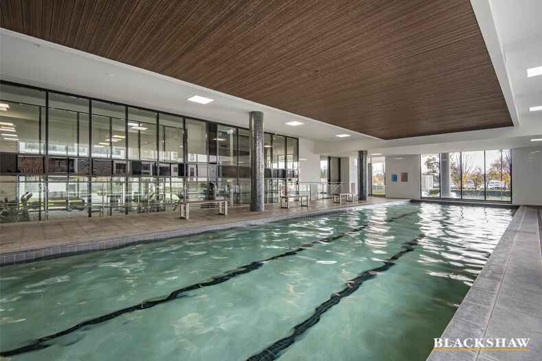 239/1 Mouat Street Lyneham 239/1 Mouat Street Lyneham