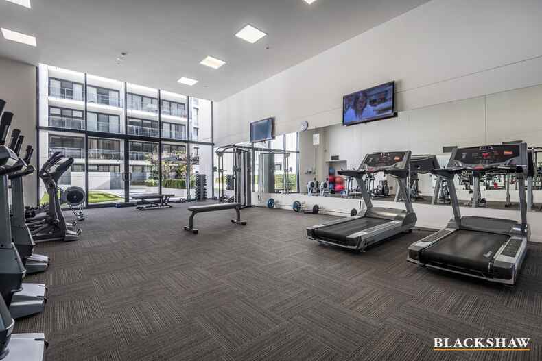 239/1 Mouat Street Lyneham 239/1 Mouat Street Lyneham