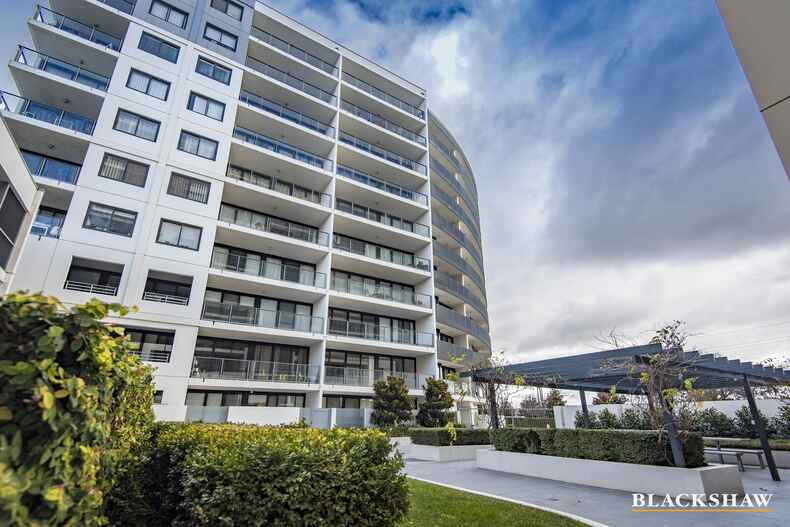 239/1 Mouat Street Lyneham 239/1 Mouat Street Lyneham