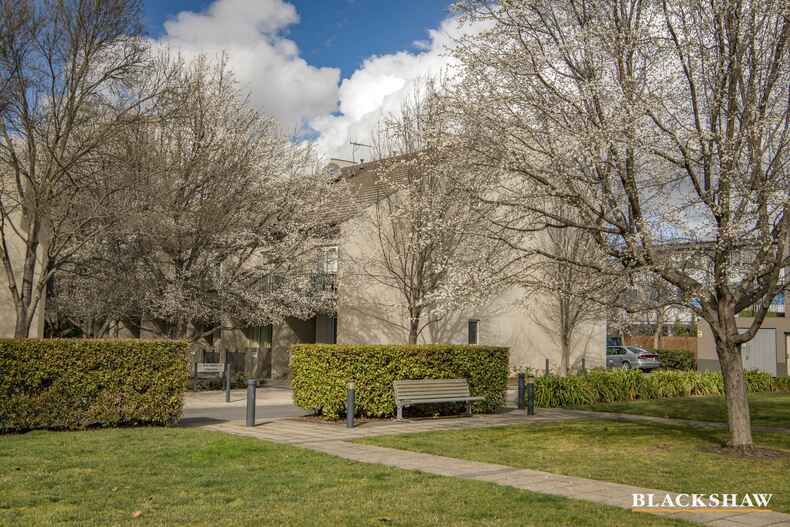 8 Bluebell Street O'Connor