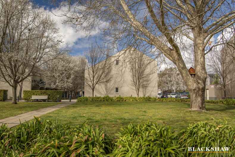 8 Bluebell Street O'Connor