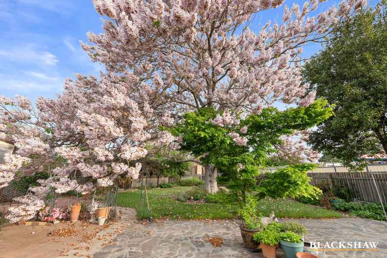 8 Brill Place Gowrie 8 Brill Place Gowrie