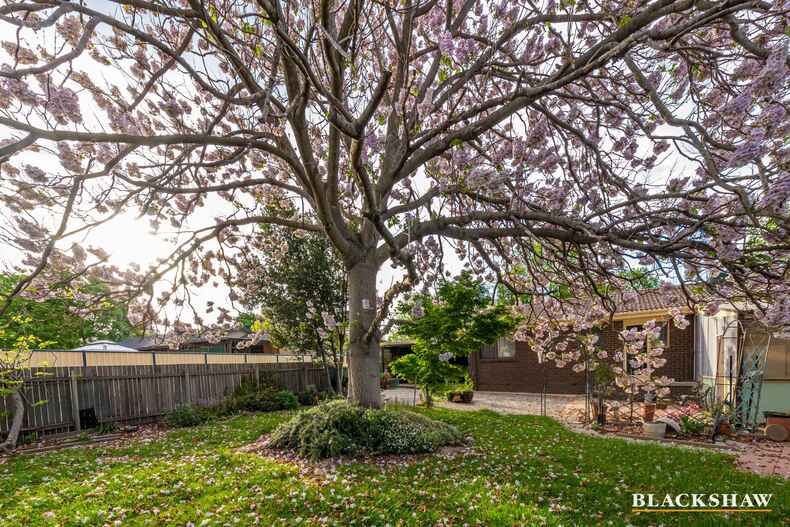 8 Brill Place Gowrie 8 Brill Place Gowrie