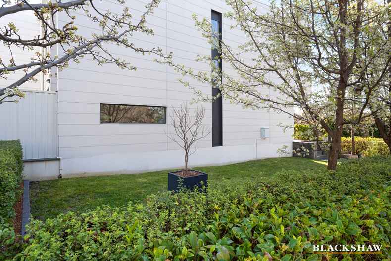 83 Macleay Street Turner