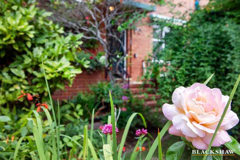 25 Vaughan Gardens Narrabundah 25 Vaughan Gardens Narrabundah