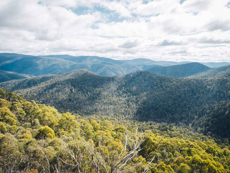 Day Trips: Around the South Coast and Canberra Regions