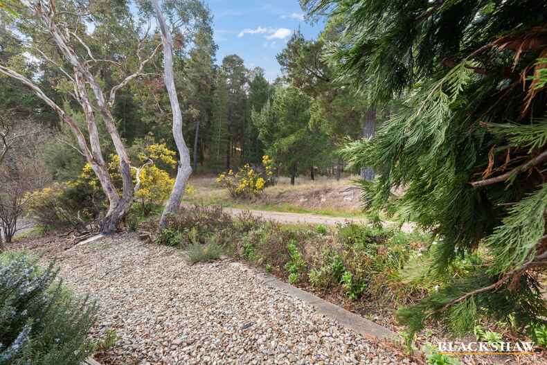 12 Broinowski Place Isaacs