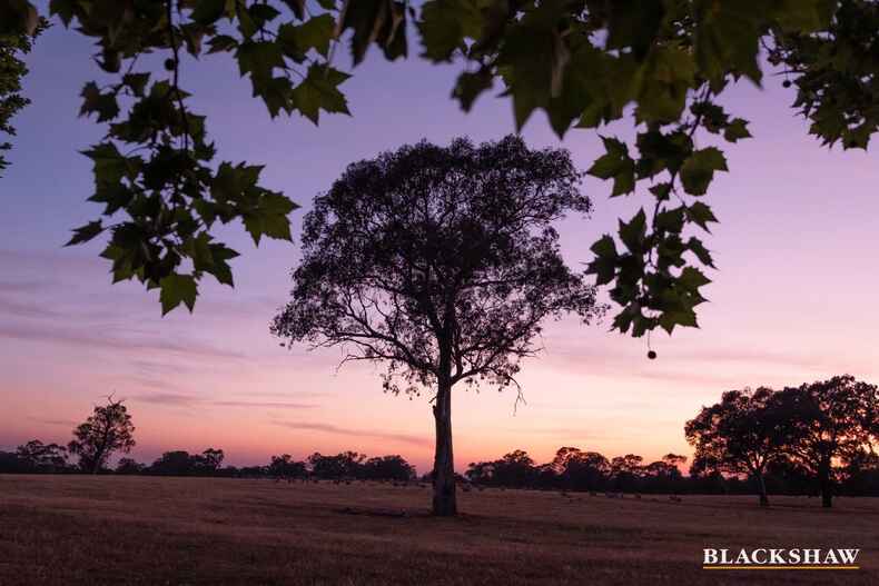 Lot 23/34 Isabel Drive Murrumbateman Lot 23/34 Isabel Drive Murrumbateman