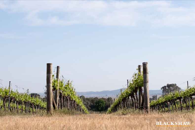 Lot 23/34 Isabel Drive Murrumbateman Lot 23/34 Isabel Drive Murrumbateman