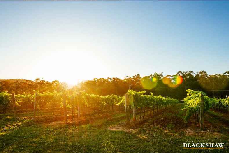 Lot 23/34 Isabel Drive Murrumbateman Lot 23/34 Isabel Drive Murrumbateman