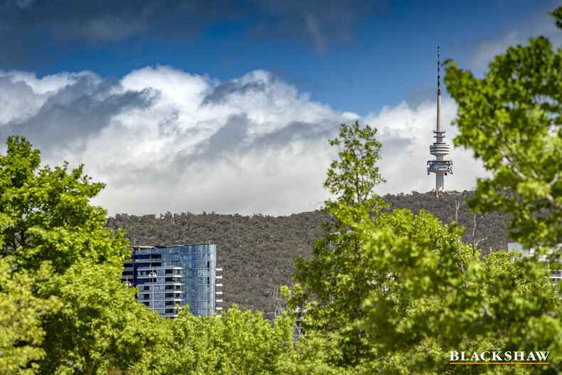 318/25 Edinburgh Avenue 'nishi'  Acton 318/25 Edinburgh Avenue 'nishi'  Acton