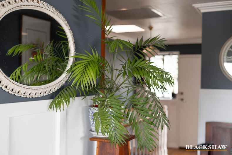 12 Cassinia Street Crestwood