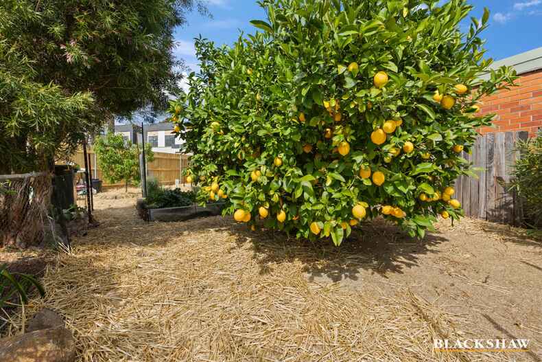 21 Aurora Close Mawson